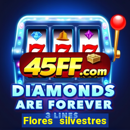 Flores silvestres brasileiras 25